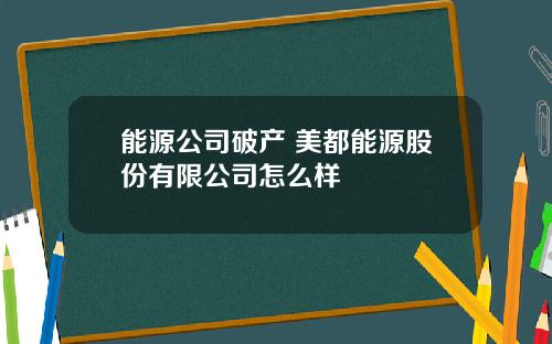 能源公司破产 美都能源股份有限公司怎么样