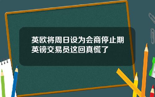 英欧将周日设为会商停止期英镑交易员这回真慌了