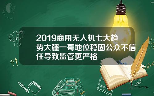 2019商用无人机七大趋势大疆一哥地位稳固公众不信任导致监管更严格