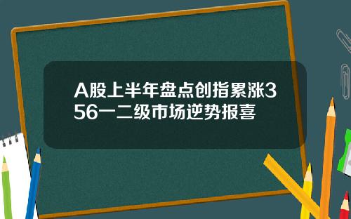 A股上半年盘点创指累涨356一二级市场逆势报喜