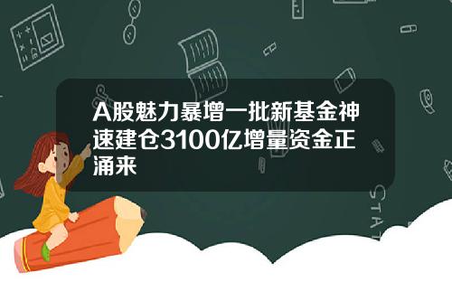 A股魅力暴增一批新基金神速建仓3100亿增量资金正涌来