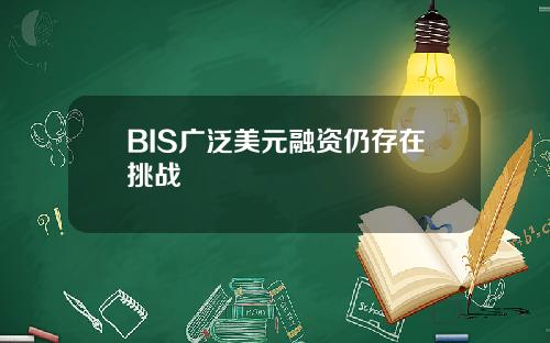 BIS广泛美元融资仍存在挑战 BIS广泛美元融资仍存在挑战
