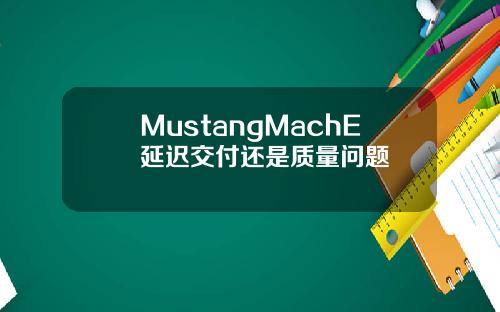 MustangMachE延迟交付还是质量问题