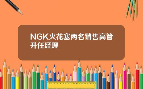 NGK火花塞两名销售高管升任经理