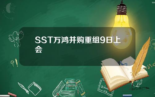 SST万鸿并购重组9日上会