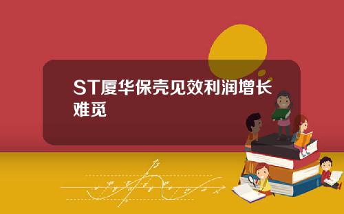 ST厦华保壳见效利润增长难觅