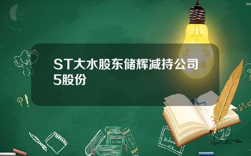 ST大水股东储辉减持公司5股份