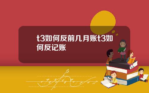 t3如何反前几月账t3如何反记账