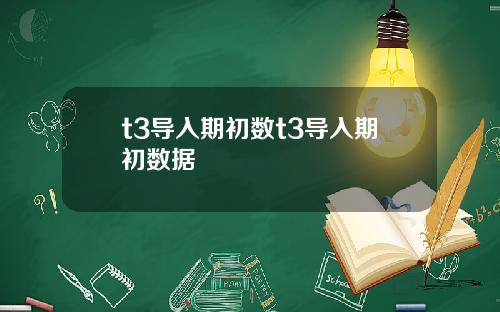 t3导入期初数t3导入期初数据