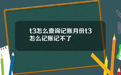 t3怎么查询记账月份t3怎么记账记不了