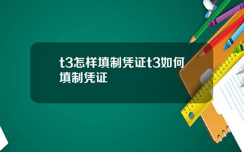 t3怎样填制凭证t3如何填制凭证