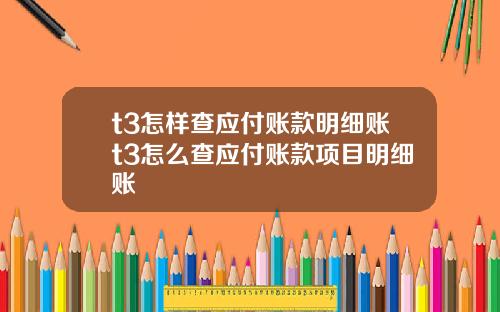 t3怎样查应付账款明细账t3怎么查应付账款项目明细账