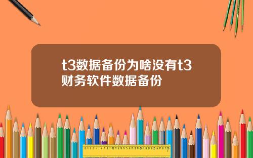 t3数据备份为啥没有t3财务软件数据备份