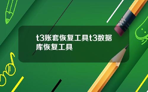 t3账套恢复工具t3数据库恢复工具