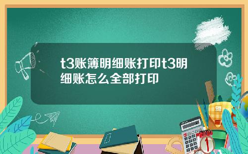 t3账簿明细账打印t3明细账怎么全部打印