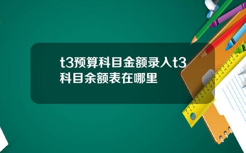 t3预算科目金额录入t3科目余额表在哪里