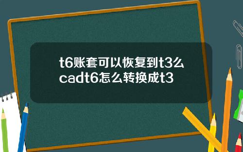 t6账套可以恢复到t3么cadt6怎么转换成t3