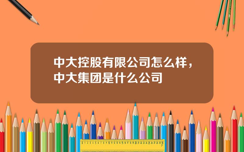 中大控股有限公司怎么样，中大集团是什么公司