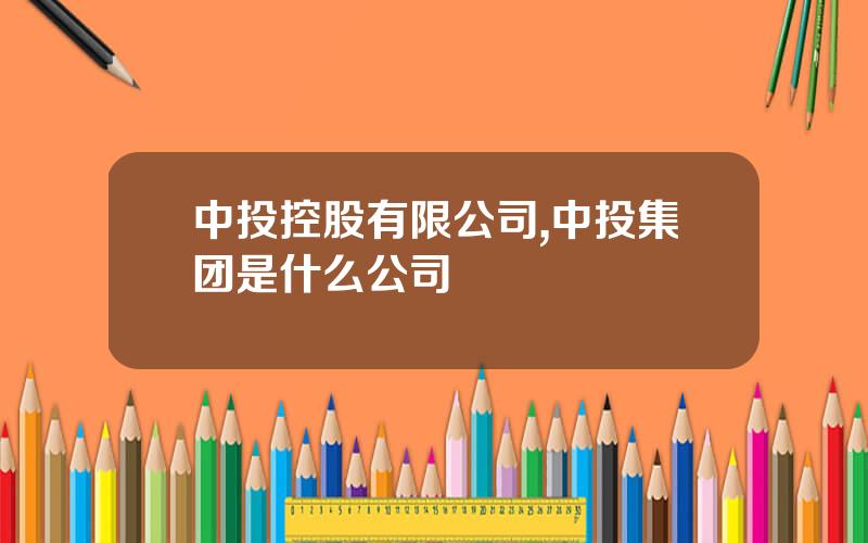 中投控股有限公司,中投集团是什么公司