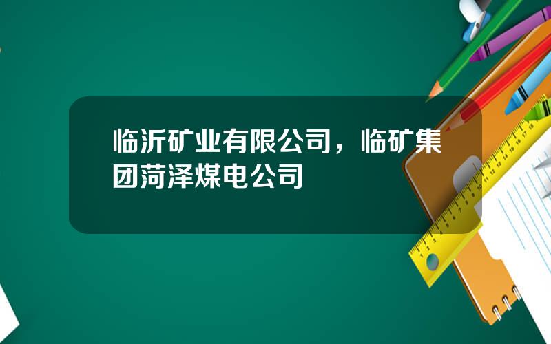 临沂矿业有限公司，临矿集团菏泽煤电公司