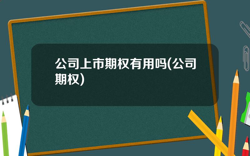 公司上市期权有用吗(公司期权)