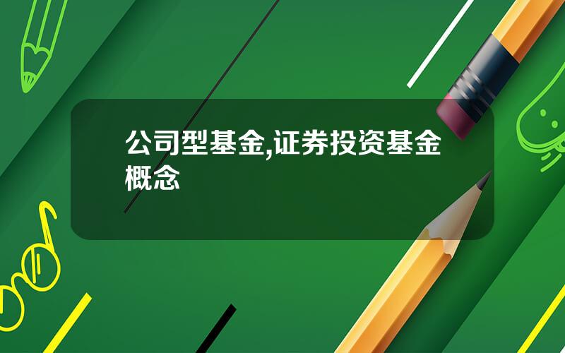 公司型基金,证券投资基金概念