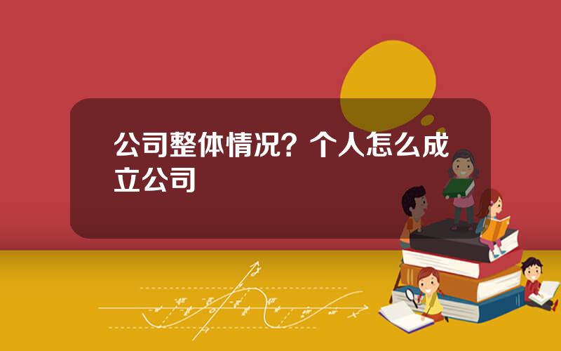 公司整体情况？个人怎么成立公司