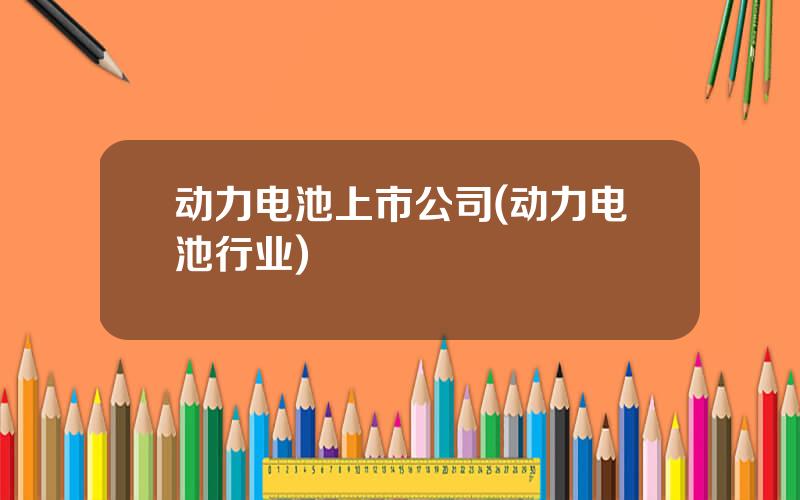动力电池上市公司(动力电池行业)
