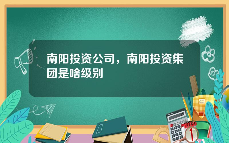 南阳投资公司，南阳投资集团是啥级别