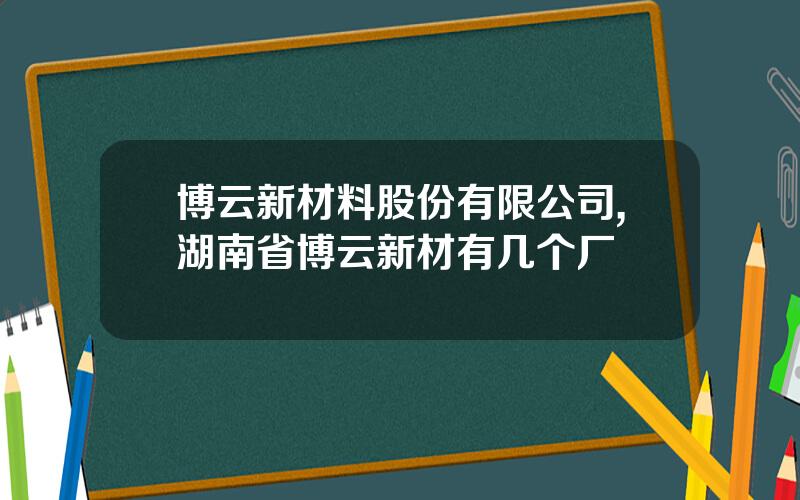 博云新材料股份有限公司,湖南省博云新材有几个厂