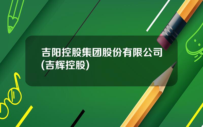 吉阳控股集团股份有限公司(吉辉控股)