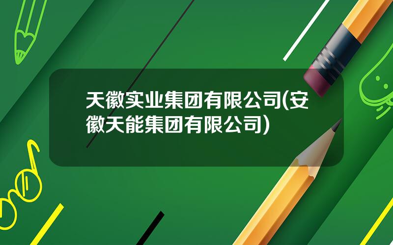 天徽实业集团有限公司(安徽天能集团有限公司)