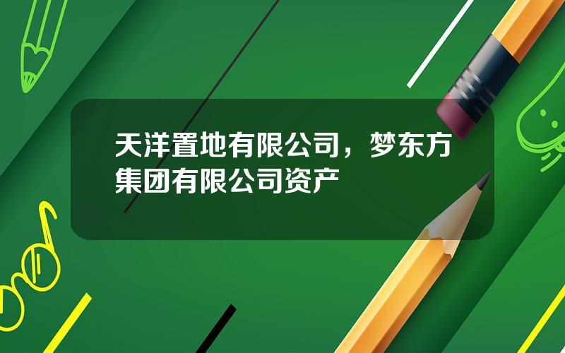 天洋置地有限公司，梦东方集团有限公司资产