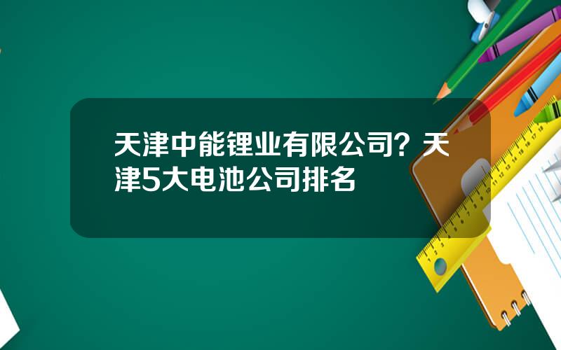 天津中能锂业有限公司？天津5大电池公司排名