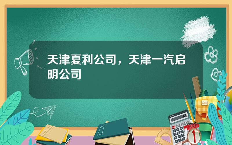 天津夏利公司，天津一汽启明公司
