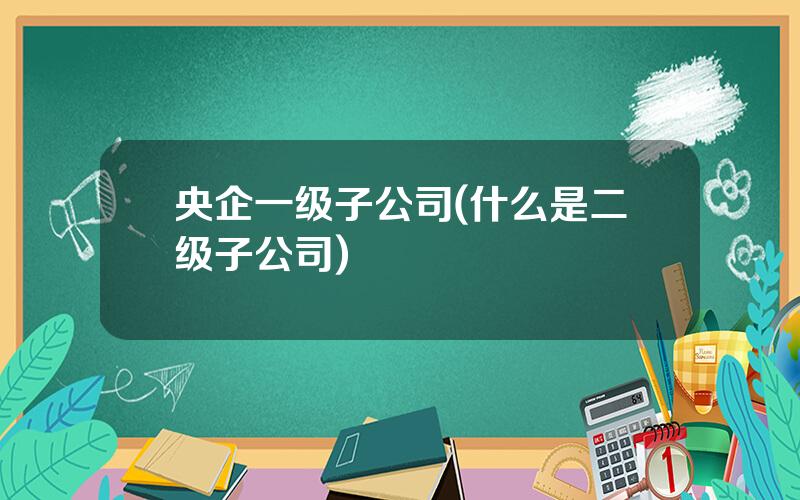 央企一级子公司(什么是二级子公司)