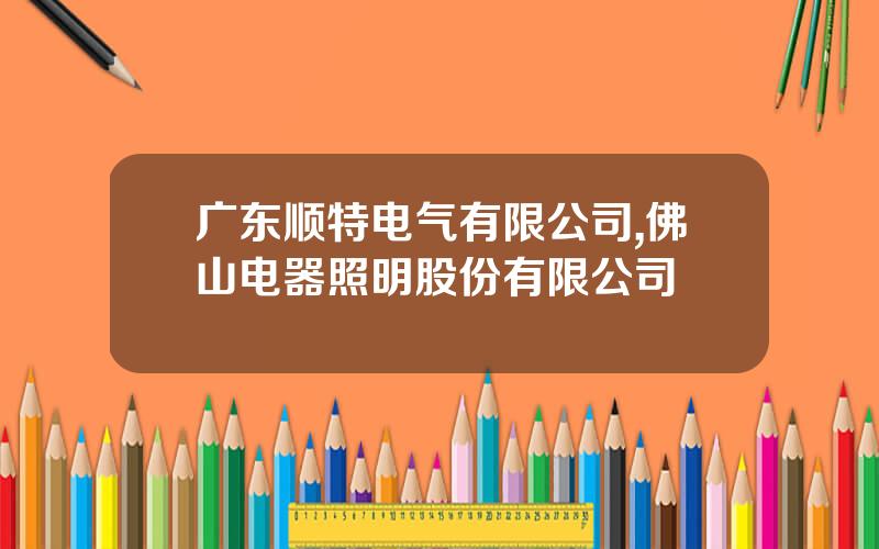 广东顺特电气有限公司,佛山电器照明股份有限公司