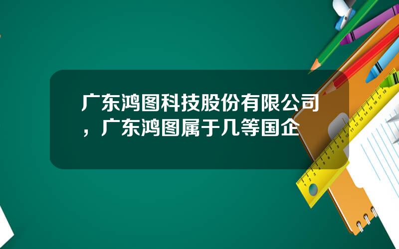 广东鸿图科技股份有限公司，广东鸿图属于几等国企