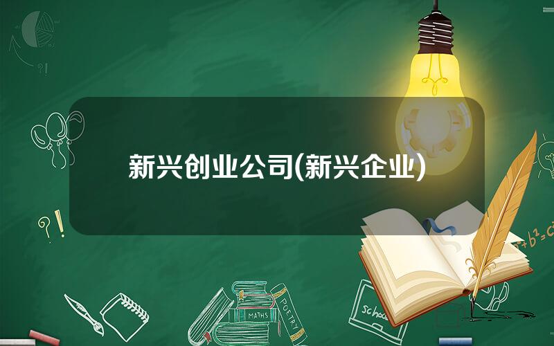 新兴创业公司(新兴企业)
